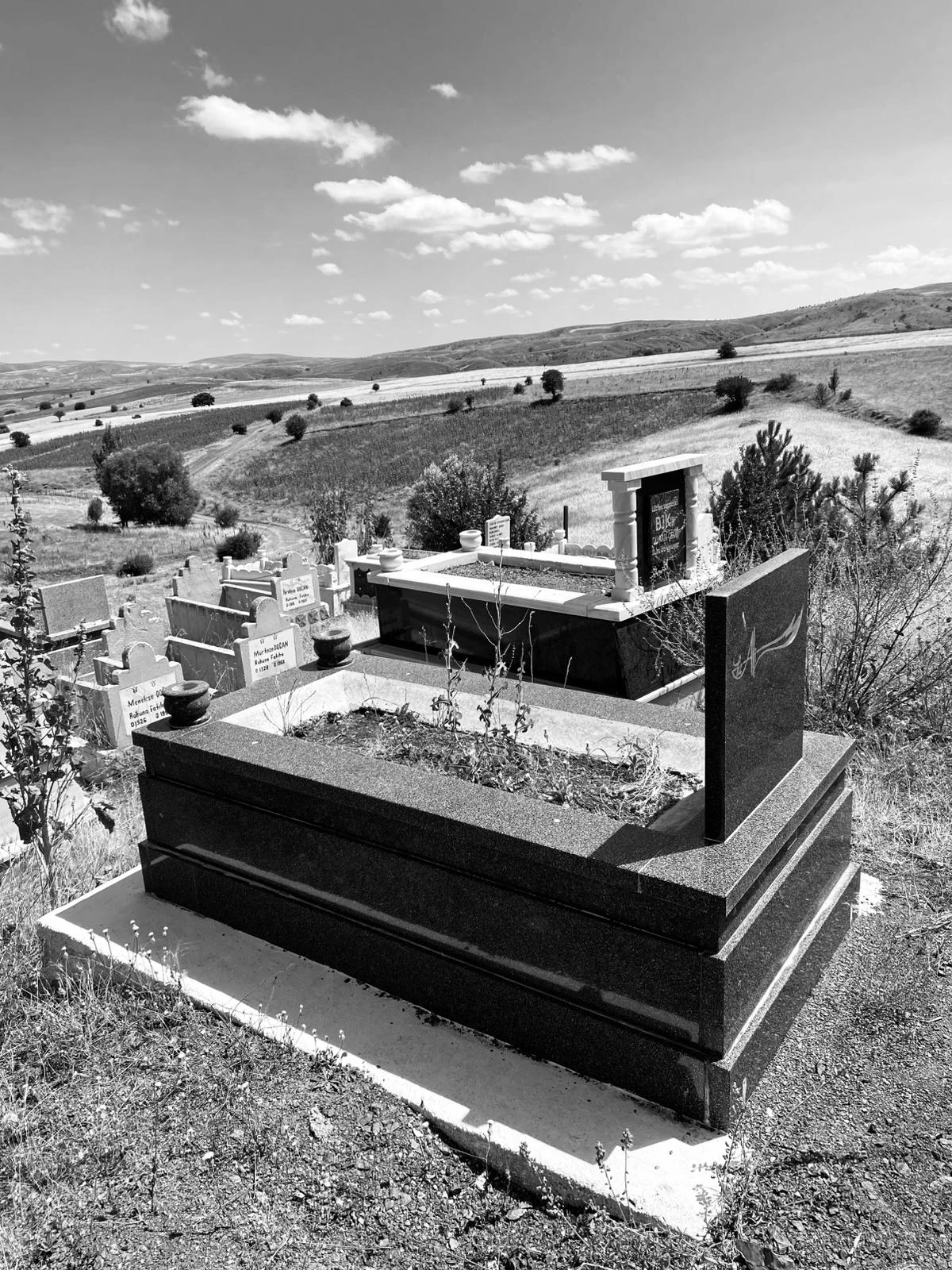 galeri_20260411_105450_531f34fcd2f814ab09a8